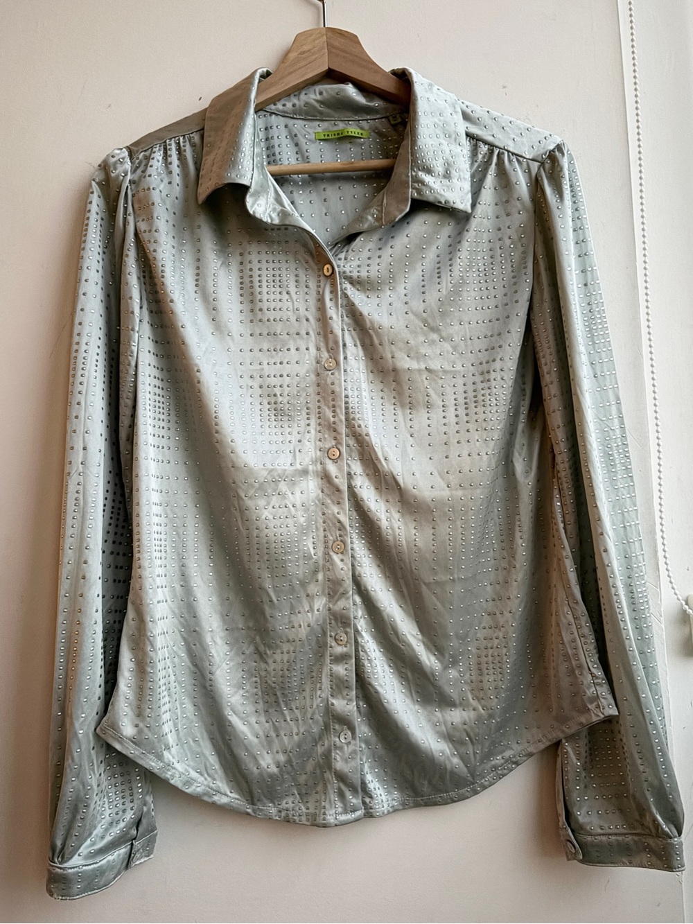 Trisha Tyler Silver Embellished Dot Eyelet Button Down Long Sleeve Blouse